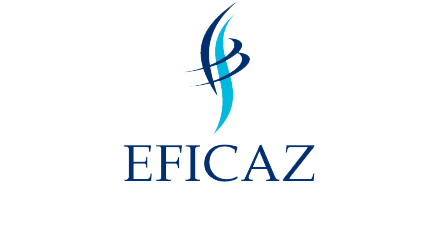 Eficaz Assessoria Contábil